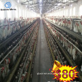 New technology galvanized diamond chicken link fence